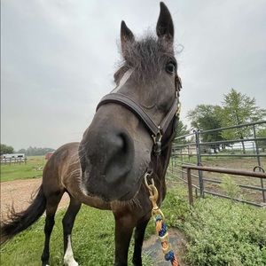 Meet your Posher, Daniel